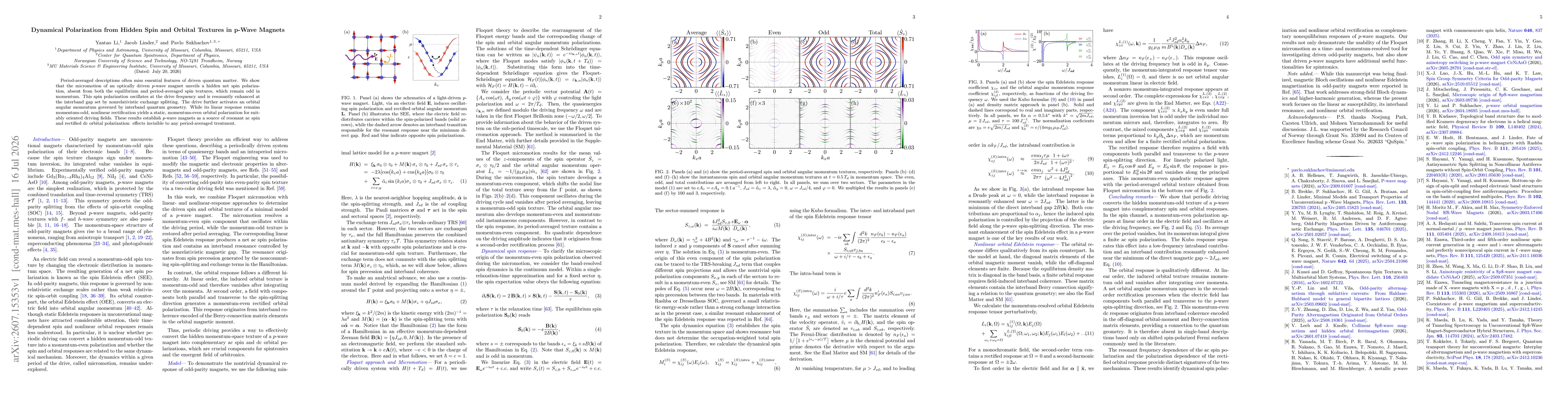 Thumbnail for Dynamical Polarization from Hidden Spin and Orbital Textures in p-Wave Magnets