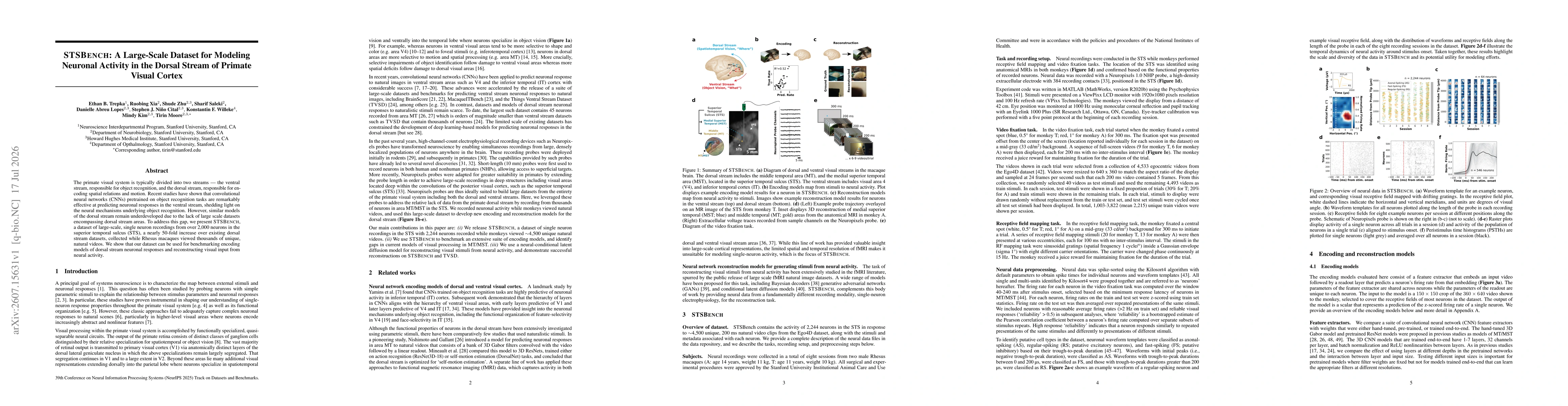 Thumbnail for STSBench: A Large-Scale Dataset for Modeling Neuronal Activity in the Dorsal Stream of Primate Visual Cortex