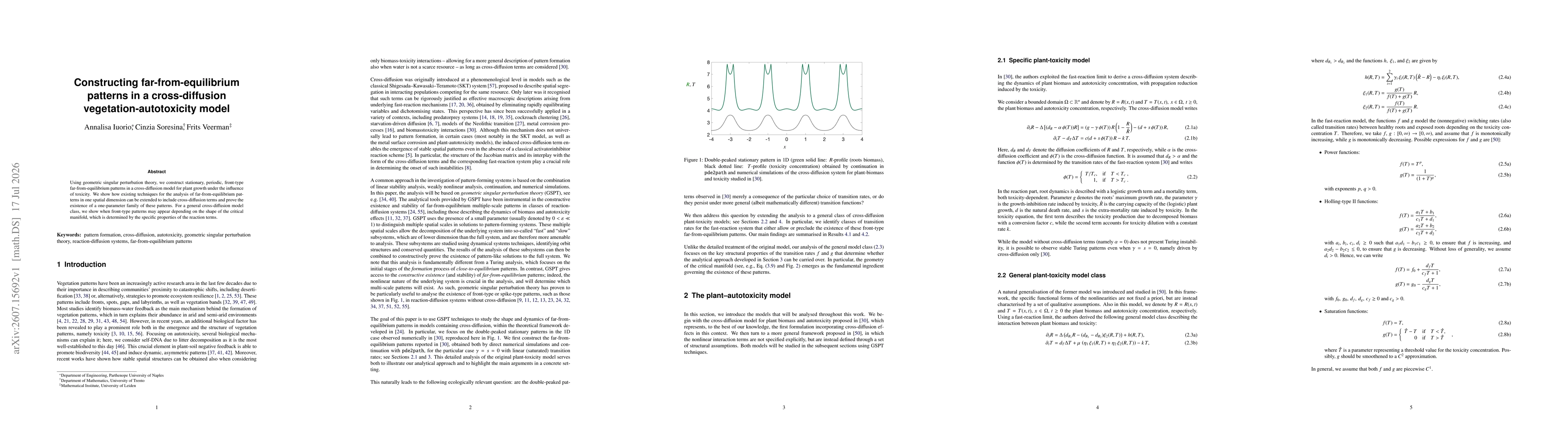 Thumbnail for Constructing far-from-equilibrium patterns in a cross-diffusion vegetation-autotoxicity model
