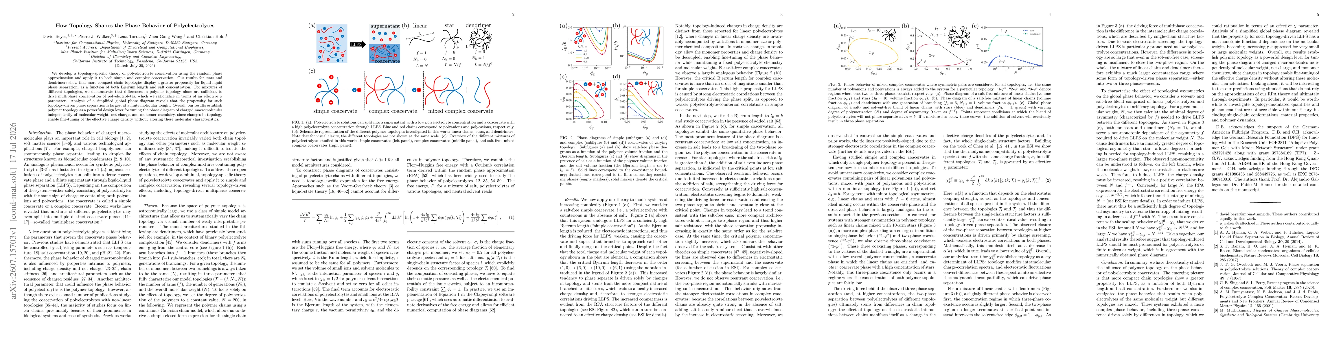 Thumbnail for How Topology Shapes the Phase Behavior of Polyelectrolytes