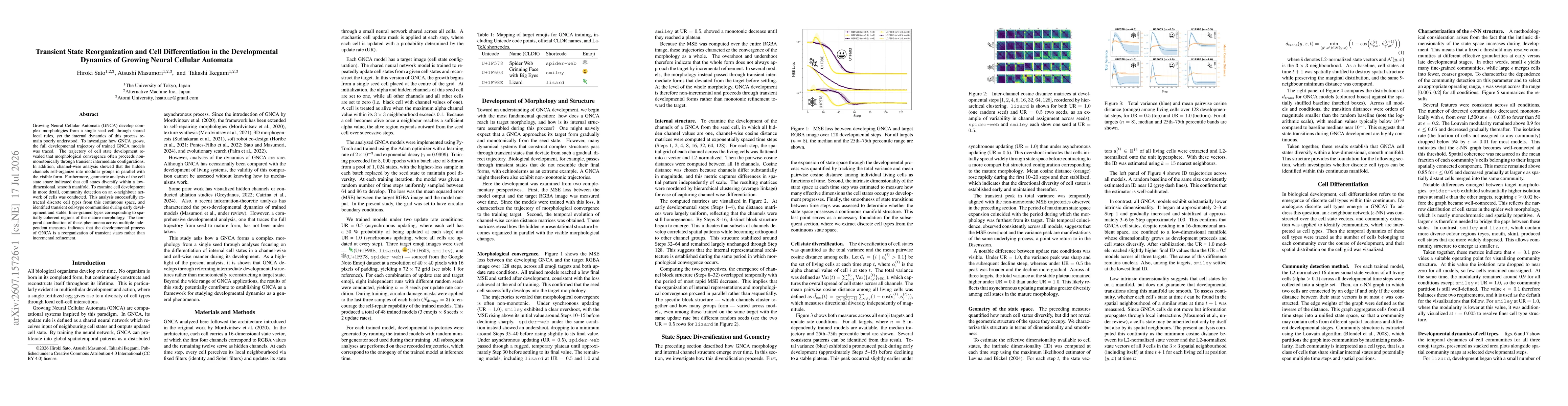 Thumbnail for Transient State Reorganization and Cell Differentiation in the Developmental Dynamics of Growing Neural Cellular Automata