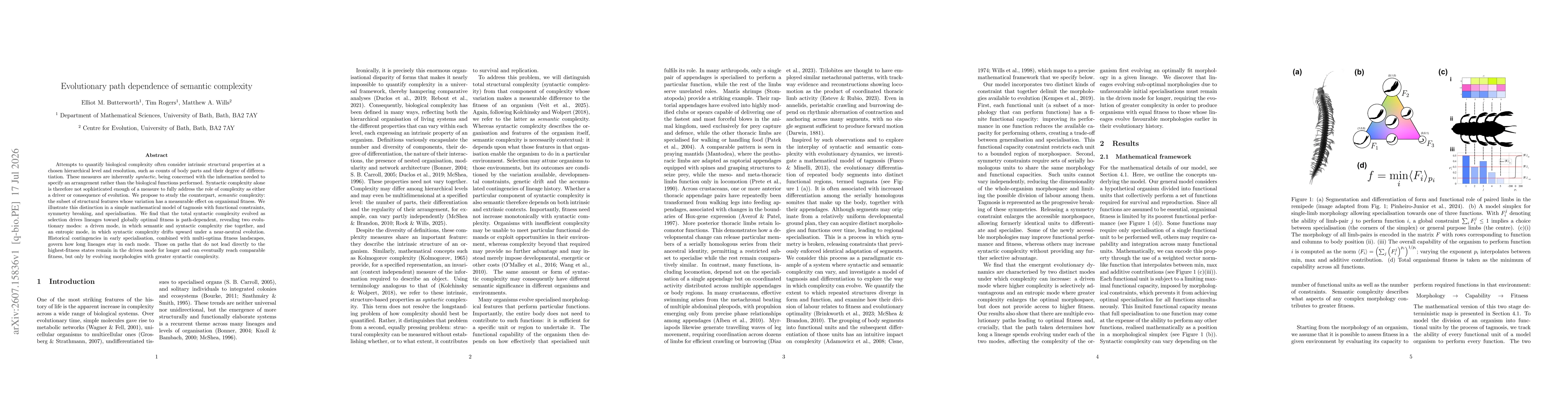 Thumbnail for Evolutionary path dependence of semantic complexity