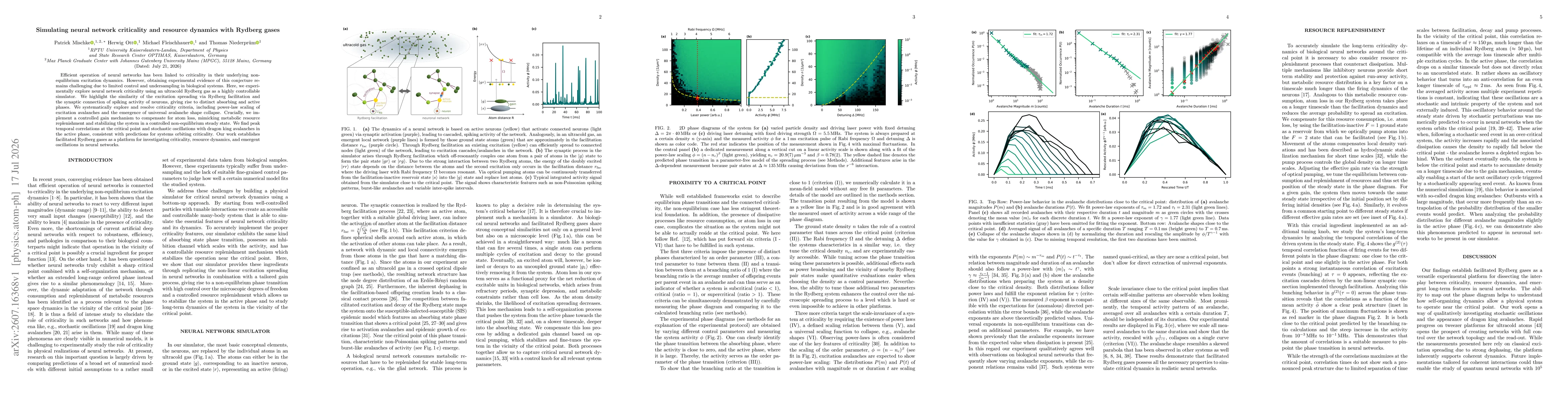 Thumbnail for Simulating neural network criticality and resource dynamics with Rydberg gases
