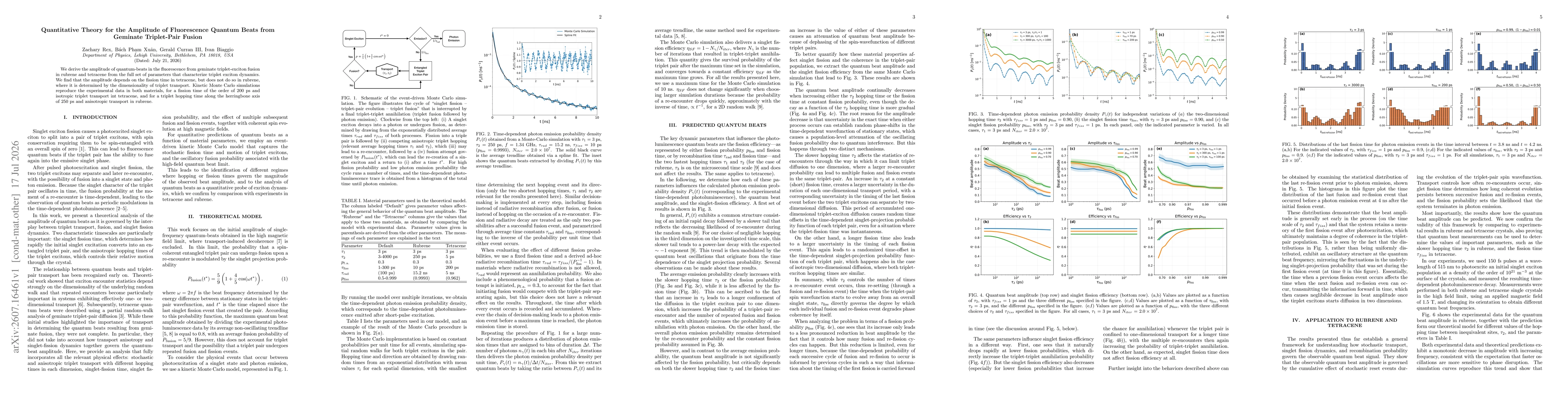Thumbnail for Quantitative Theory for the Amplitude of Fluorescence Quantum Beats from Geminate Triplet-Pair Fusion