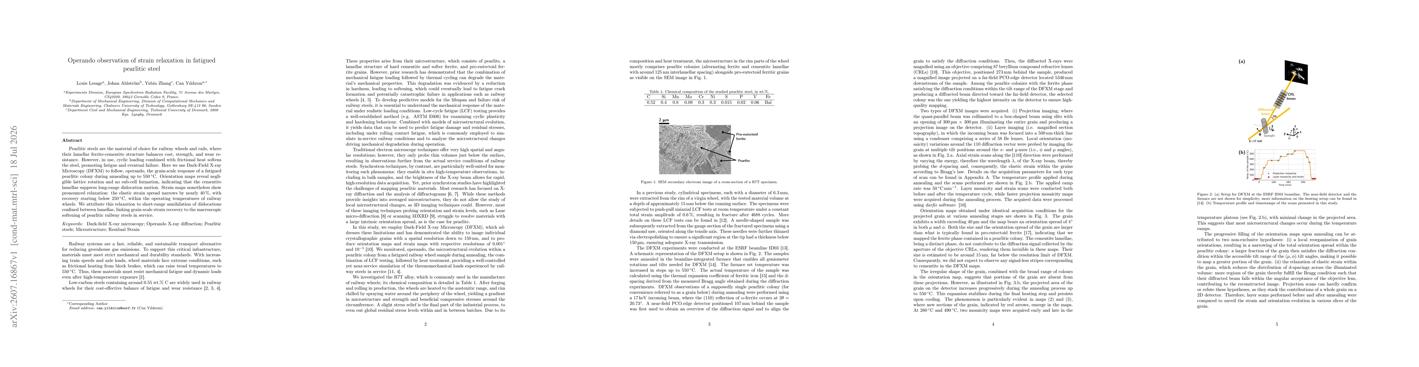 Thumbnail for Operando observation of strain relaxation in fatigued pearlitic steel