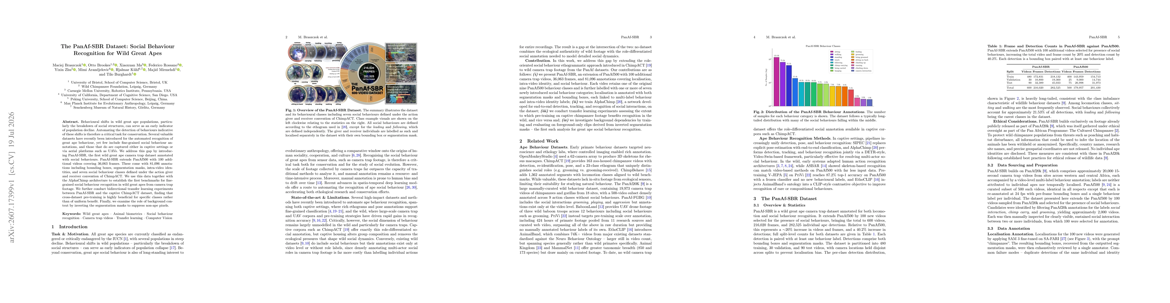 Thumbnail for The PanAf-SBR Dataset: Social Behaviour Recognition for Wild Great Apes