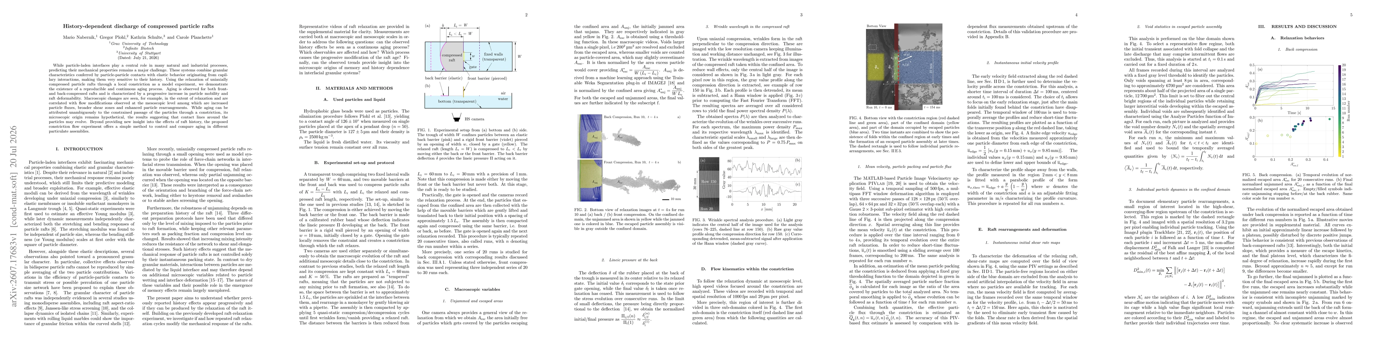 Thumbnail for History-dependent discharge of compressed particle rafts