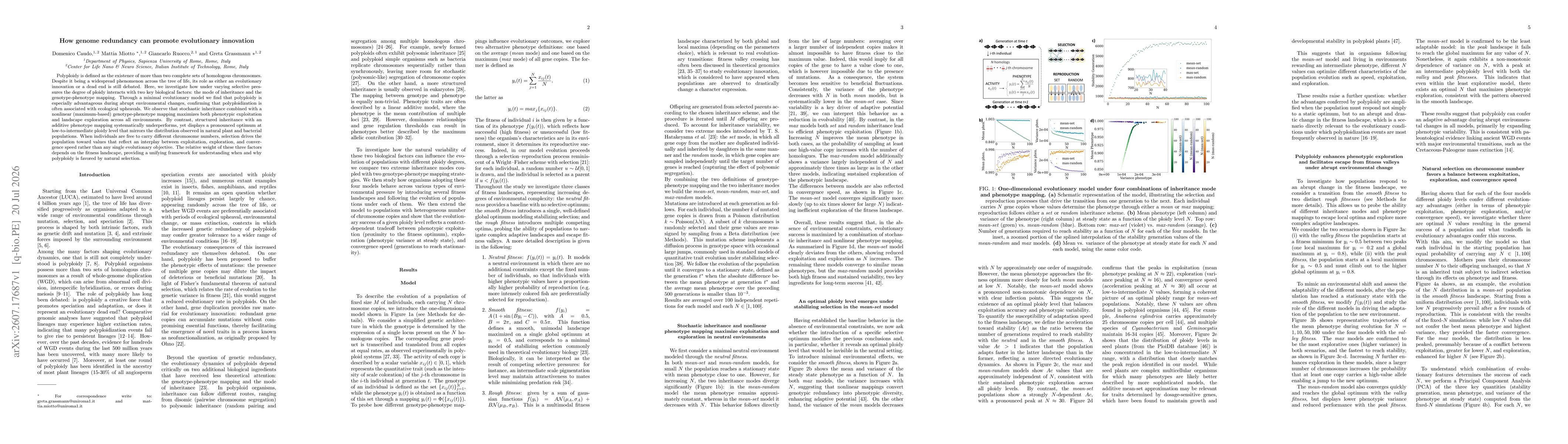 Thumbnail for How genome redundancy can promote evolutionary innovation