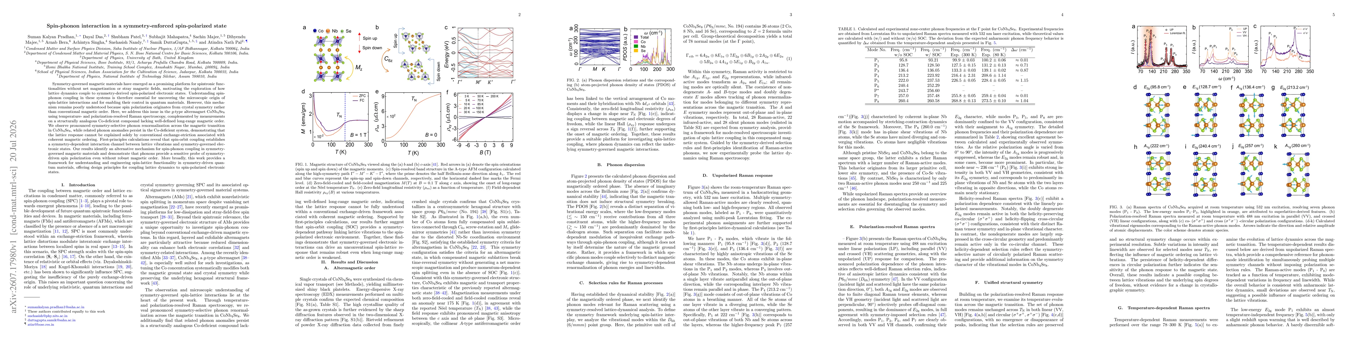 Thumbnail for Spin-phonon interaction in a symmetry-enforced spin-polarized state