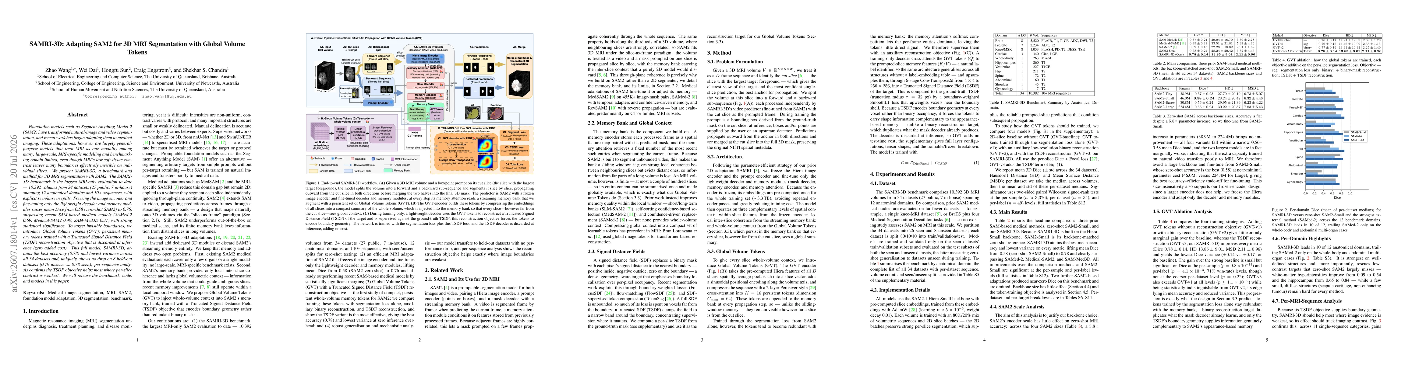Thumbnail for SAMRI-3D: Adapting SAM2 for 3D MRI Segmentation with Global Volume Tokens
