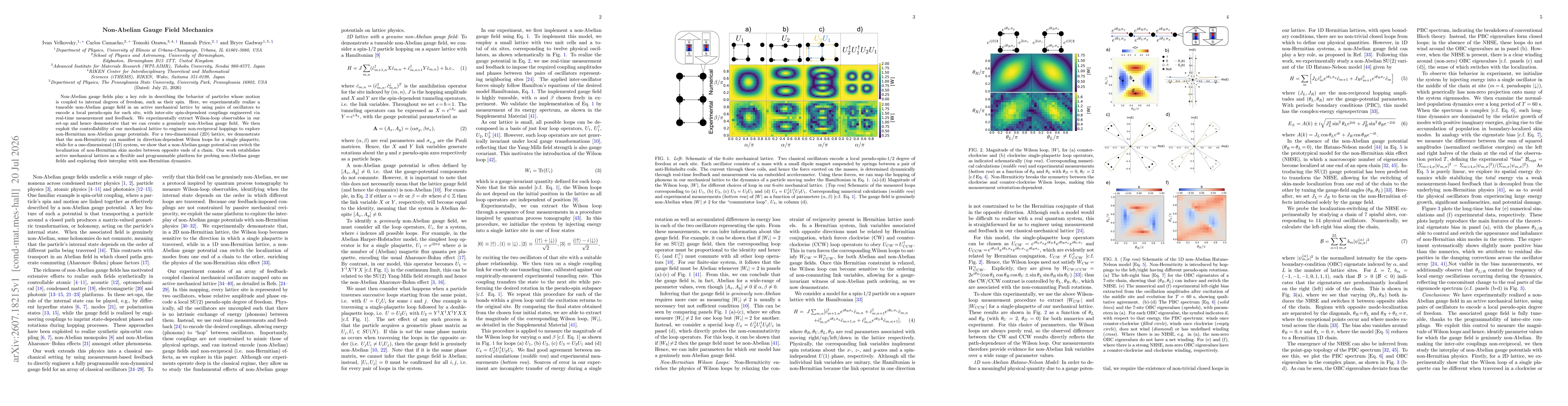 Thumbnail for Non-Abelian Gauge Field Mechanics