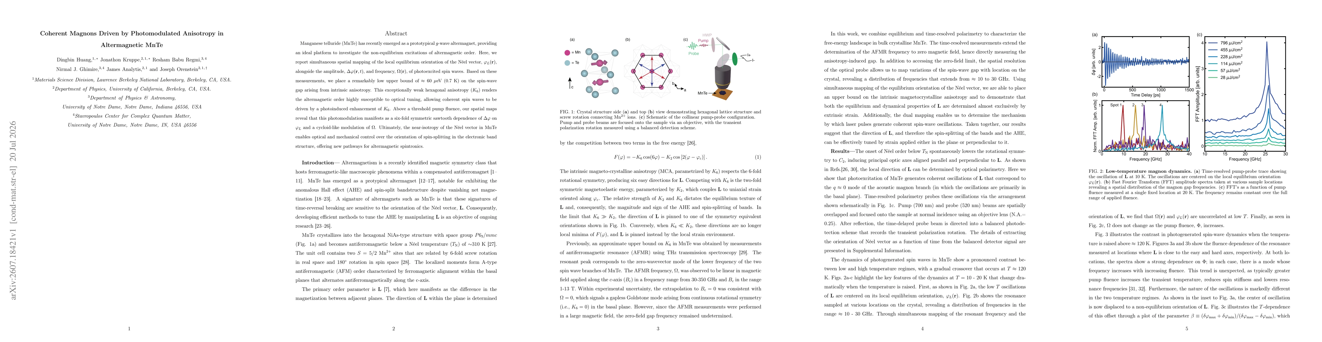 Thumbnail for Coherent Magnons Driven by Photomodulated Anisotropy in Altermagnetic MnTe