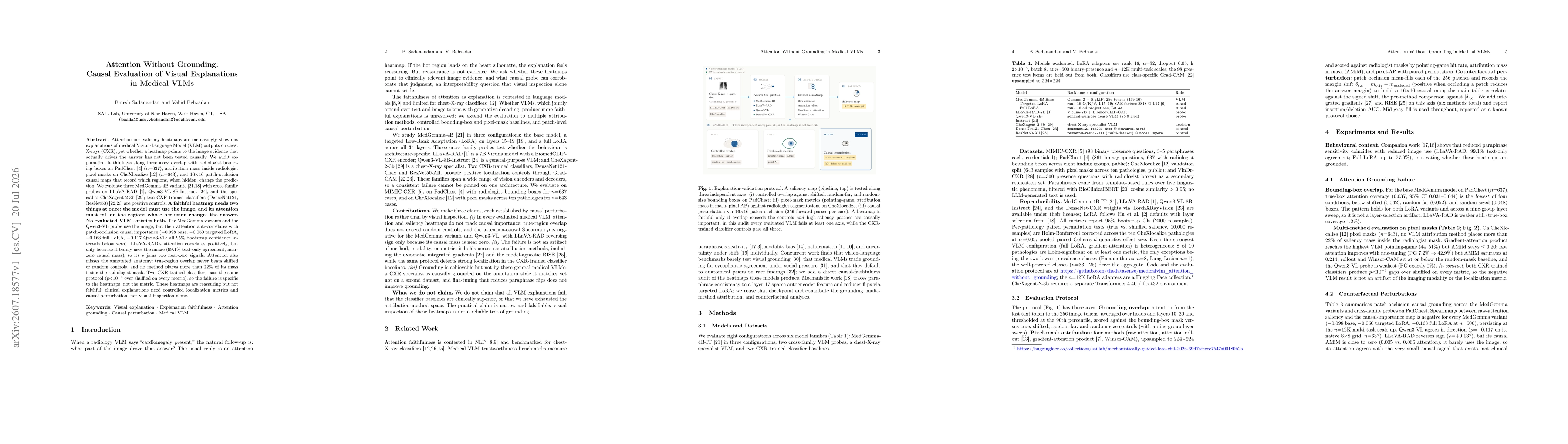 Thumbnail for Attention Without Grounding: Causal Evaluation of Visual Explanations in Medical VLMs