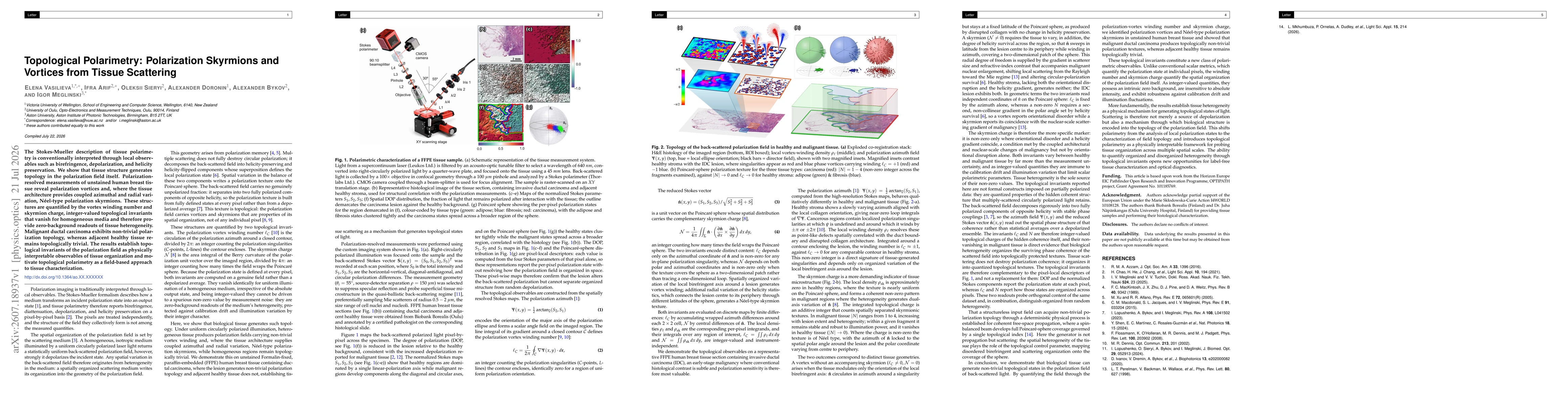 Thumbnail for Topological Polarimetry: Polarization Skyrmions and Vortices from Tissue Scattering