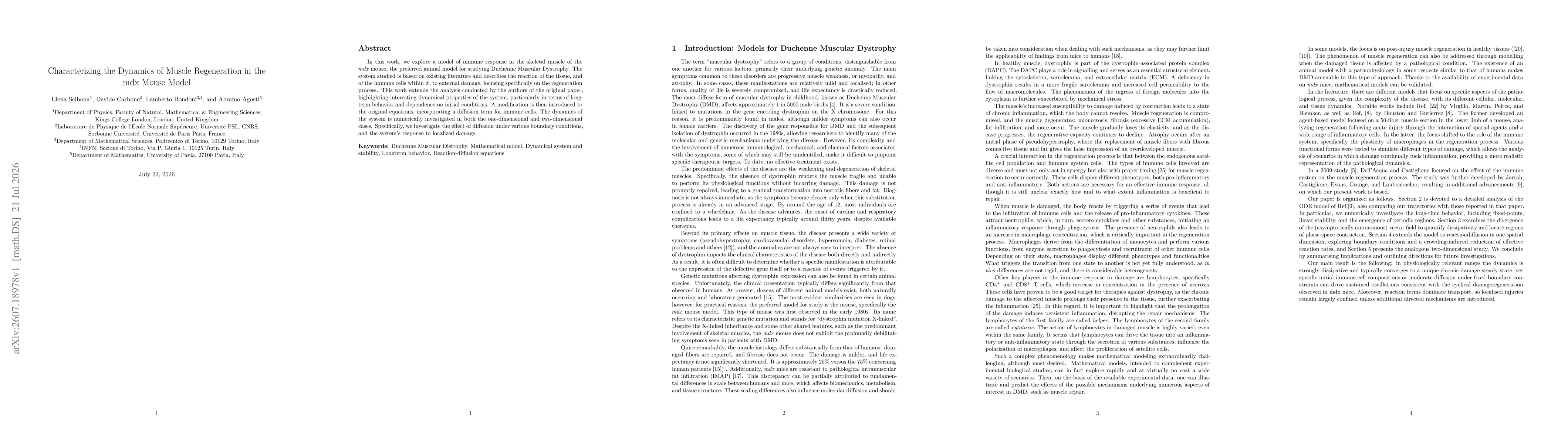 Thumbnail for Characterizing the Dynamics of Muscle Regeneration in the mdx Mouse Model