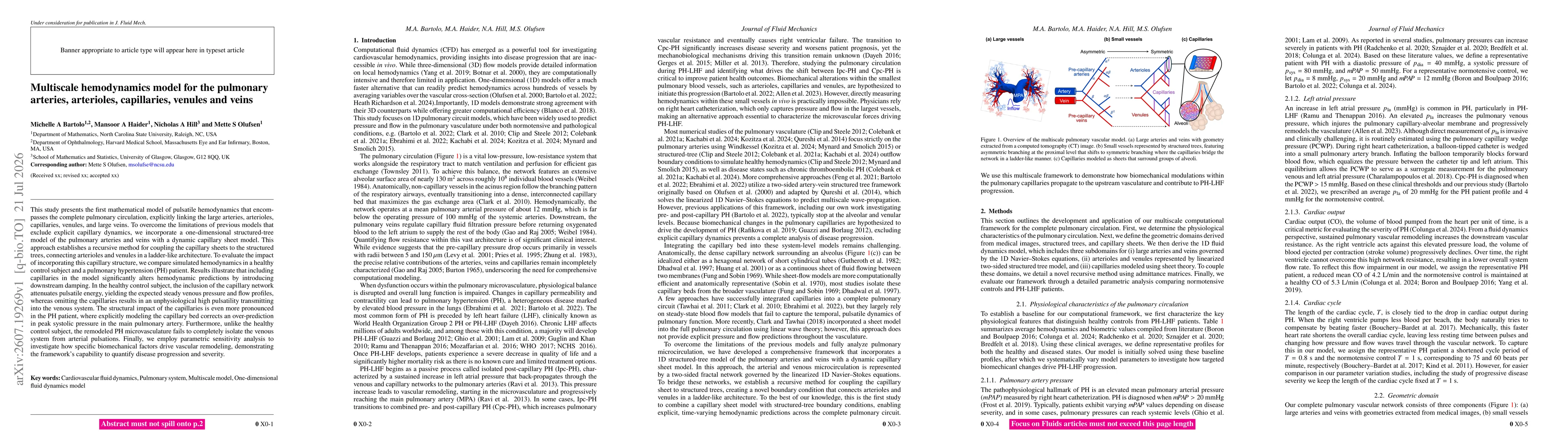 Thumbnail for Multiscale hemodynamics model for the pulmonary arteries, arterioles, capillaries, venules and veins