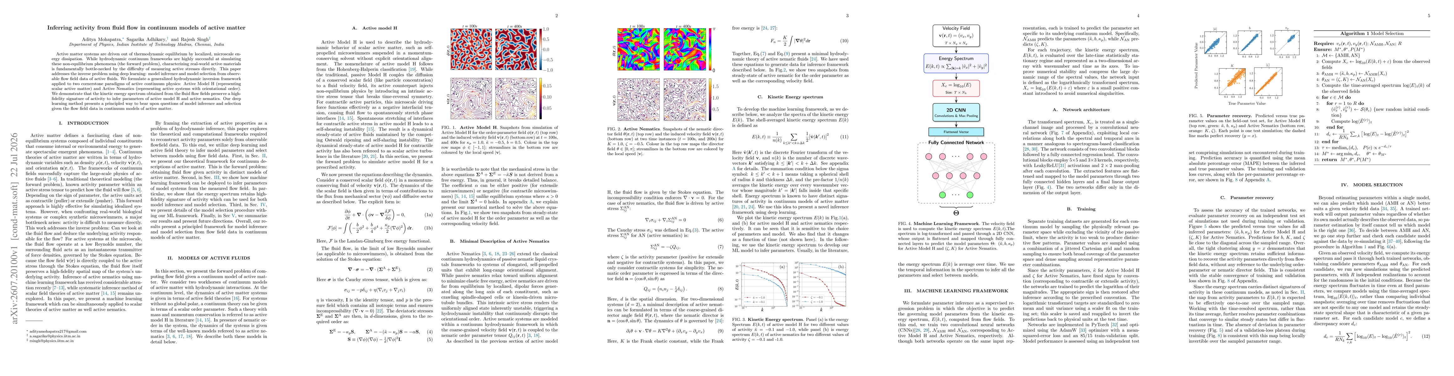 Thumbnail for Inferring activity from fluid flow in continuum models of active matter