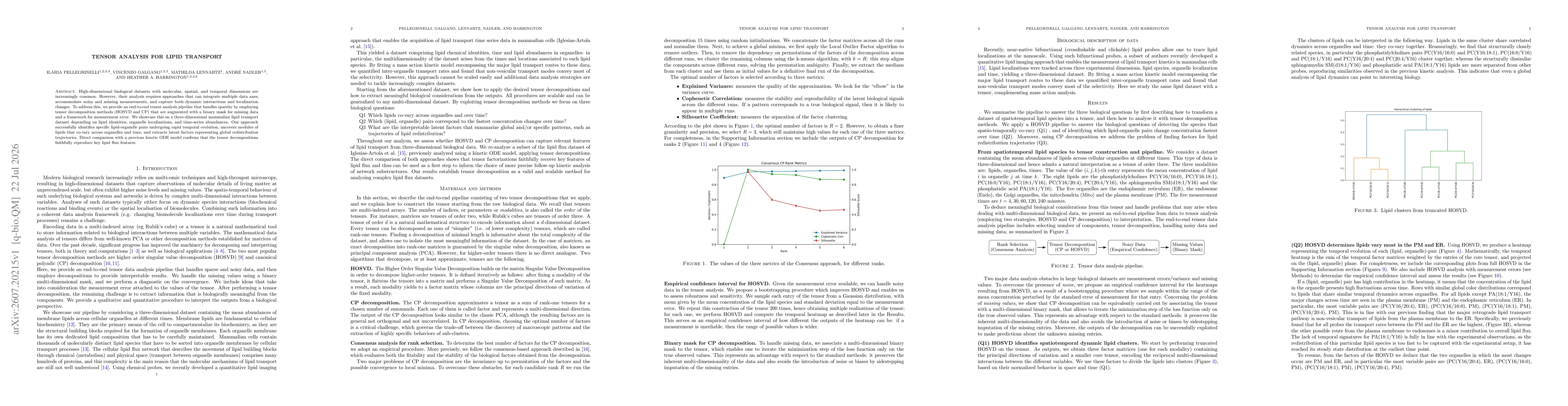 Thumbnail for Tensor analysis for lipid transport