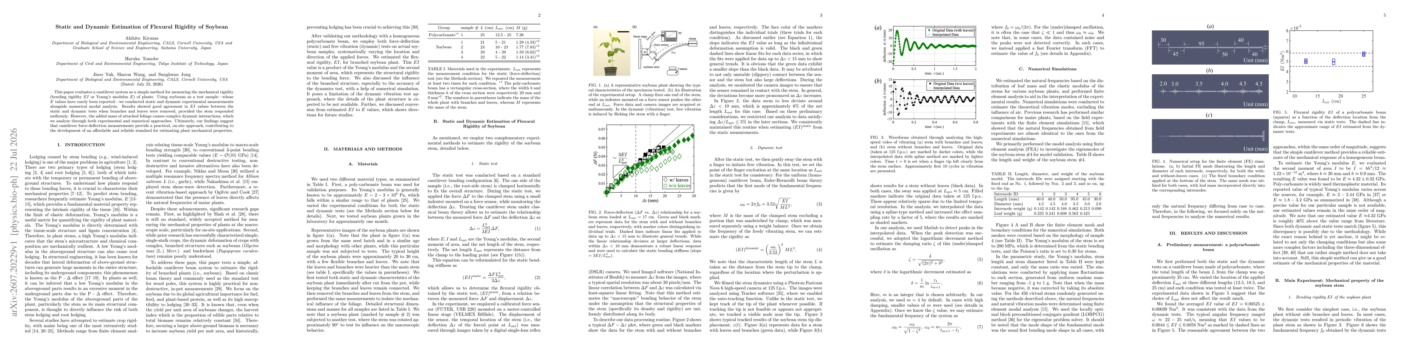 Thumbnail for Static and Dynamic Estimation of Flexural Rigidity of Soybean