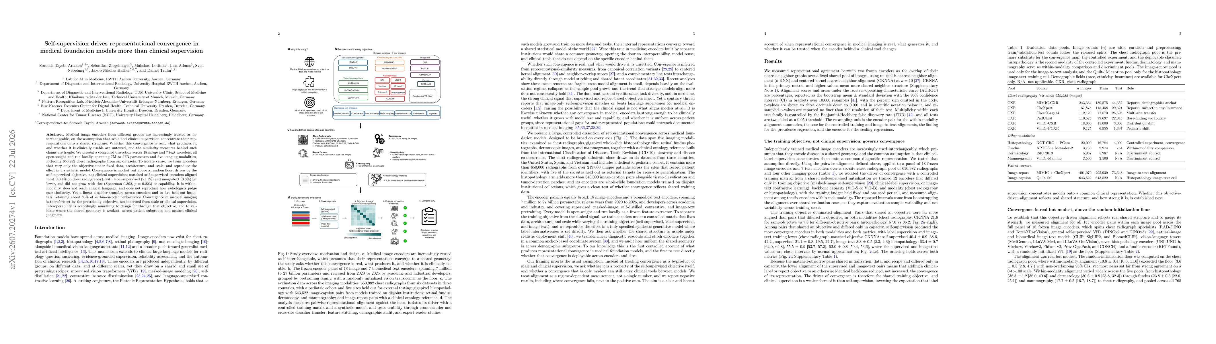 Thumbnail for Self-supervision drives representational convergence in medical foundation models more than clinical supervision