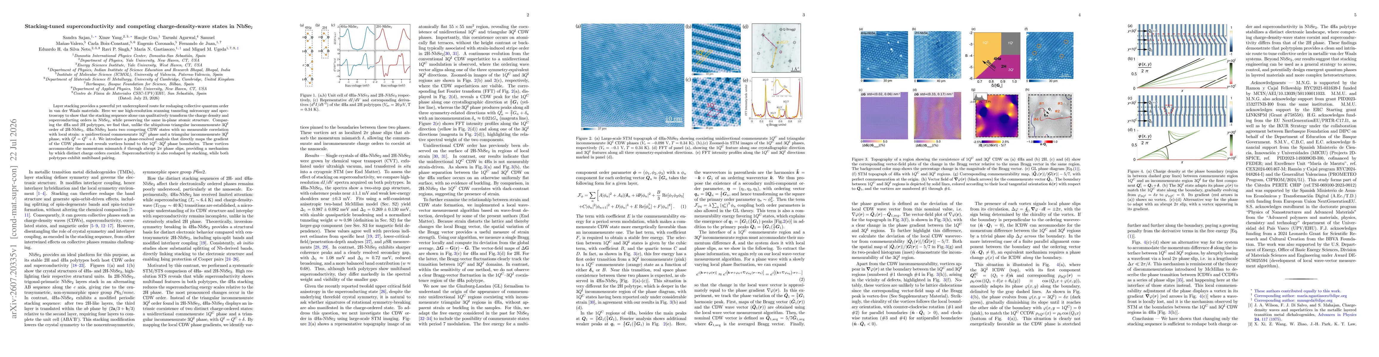Thumbnail for Stacking-tuned superconductivity and competing charge-density-wave states in NbSe$_2$