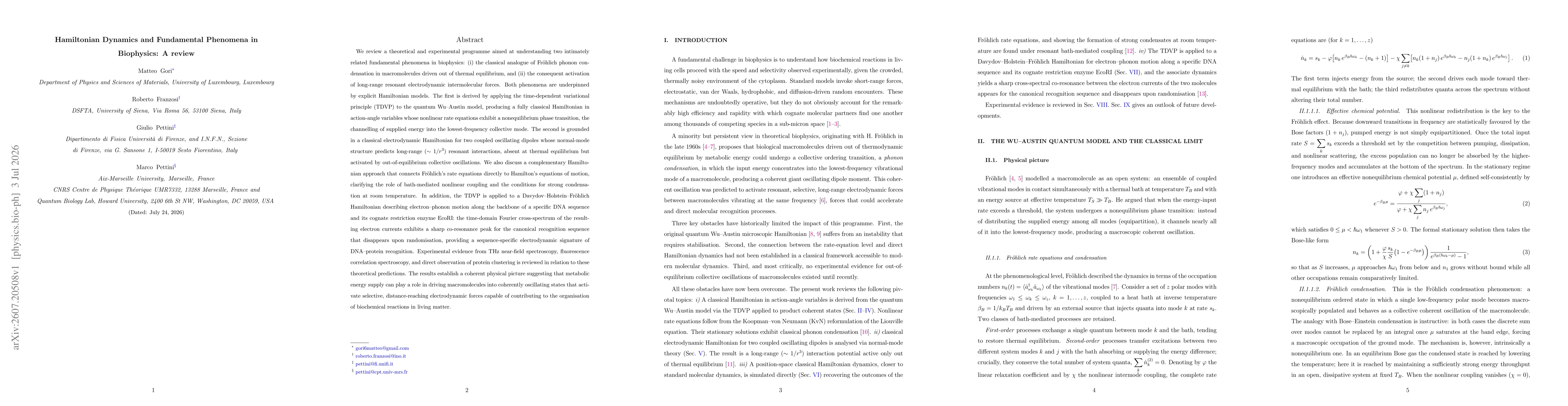 Thumbnail for Hamiltonian Dynamics and Fundamental Phenomena in Biophysics: A Review