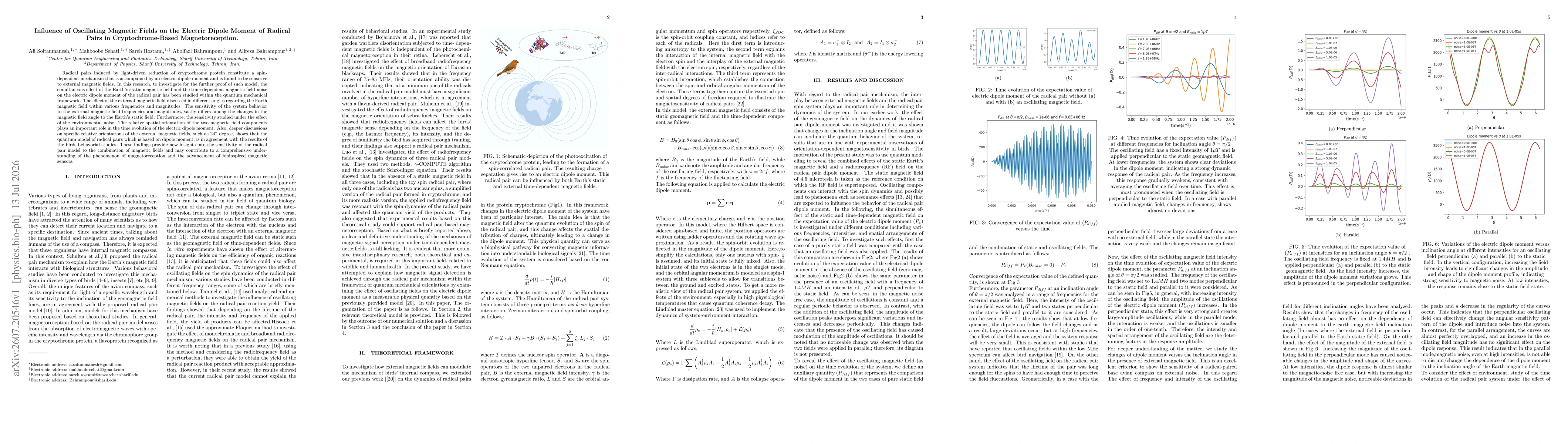 Thumbnail for Influence of Oscillating Magnetic Fields on the Electric Dipole Moment of Radical Pairs in Cryptochrome Based Magnetoreception