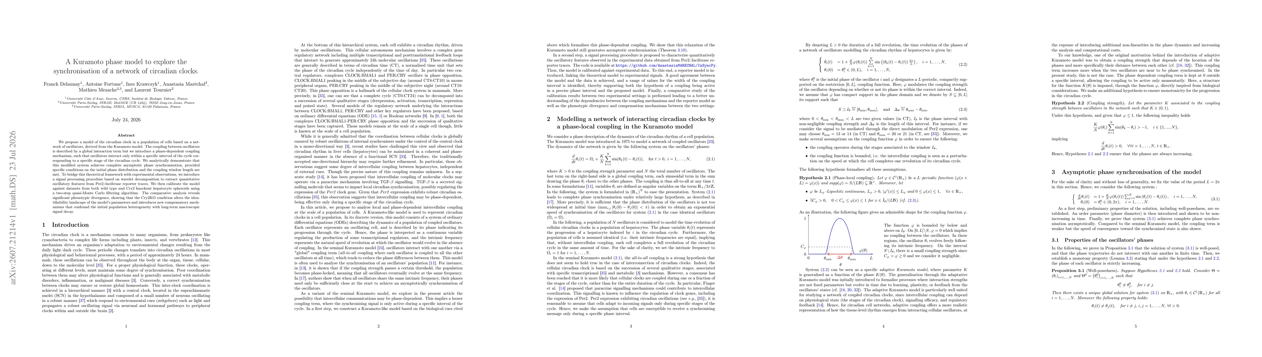 Thumbnail for A Kuramoto phase model to explore the synchronisation of a network of circadian clocks