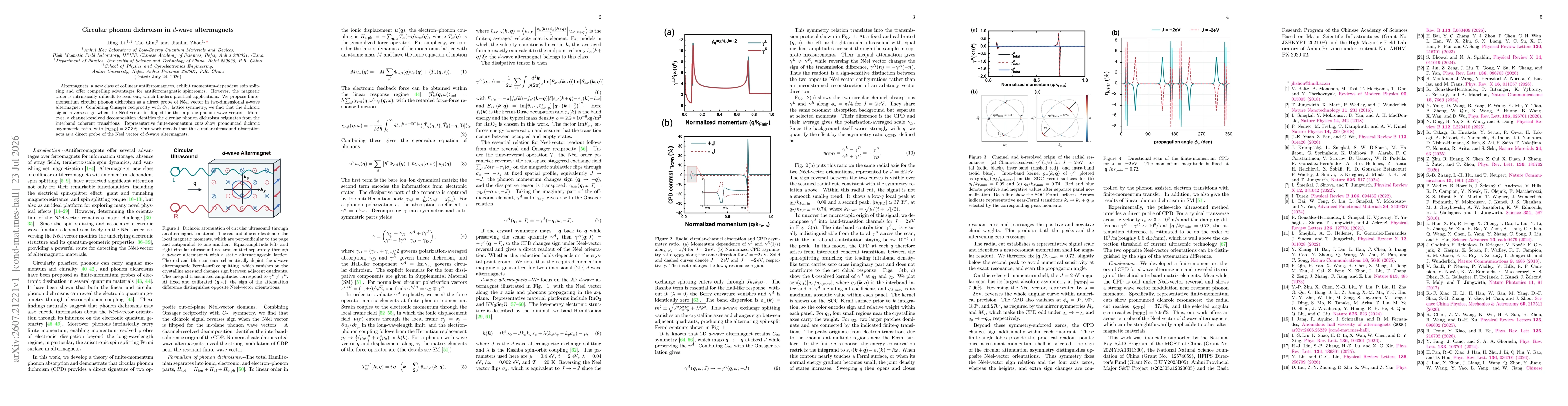 Thumbnail for Circular phonon dichroism in $d$-wave altermagnets