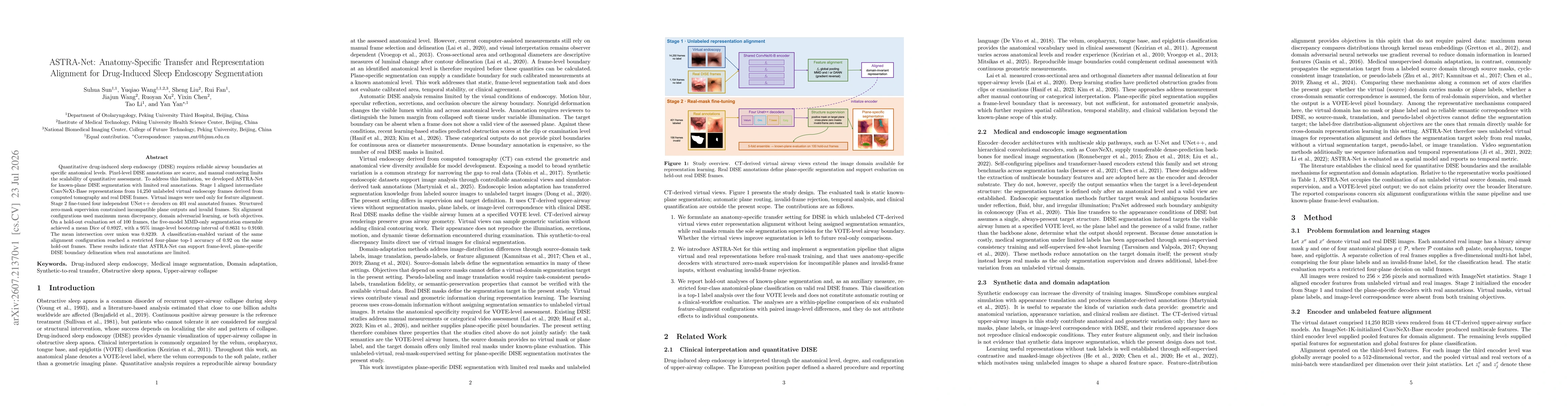 Thumbnail for ASTRA-Net: Anatomy-Specific Transfer and Representation Alignment for Drug-Induced Sleep Endoscopy Segmentation