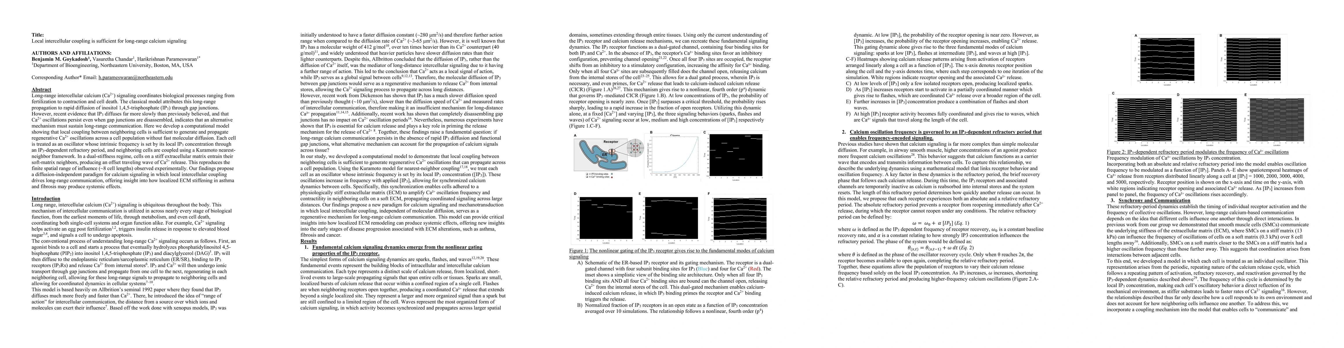 Thumbnail for Local intercellular coupling is sufficient for long-range calcium signaling