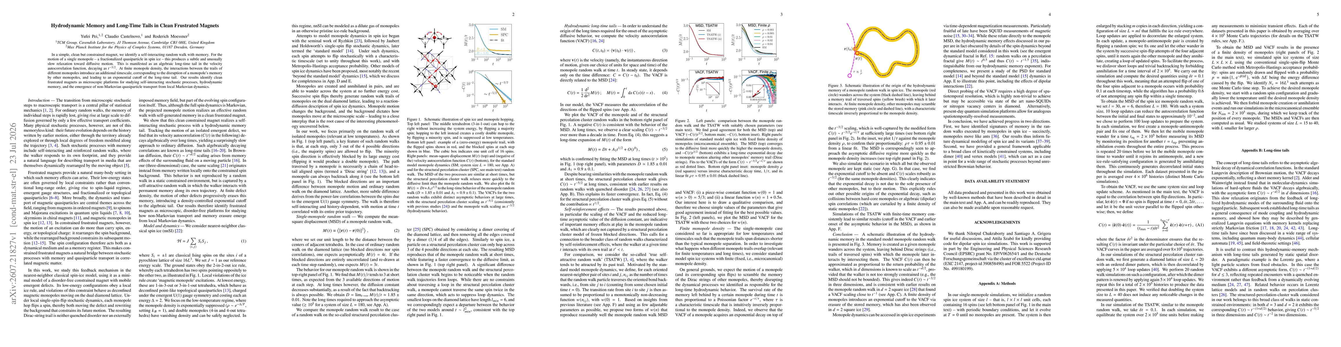 Thumbnail for Hydrodynamic Memory and Long-Time Tails in Clean Frustrated Magnets