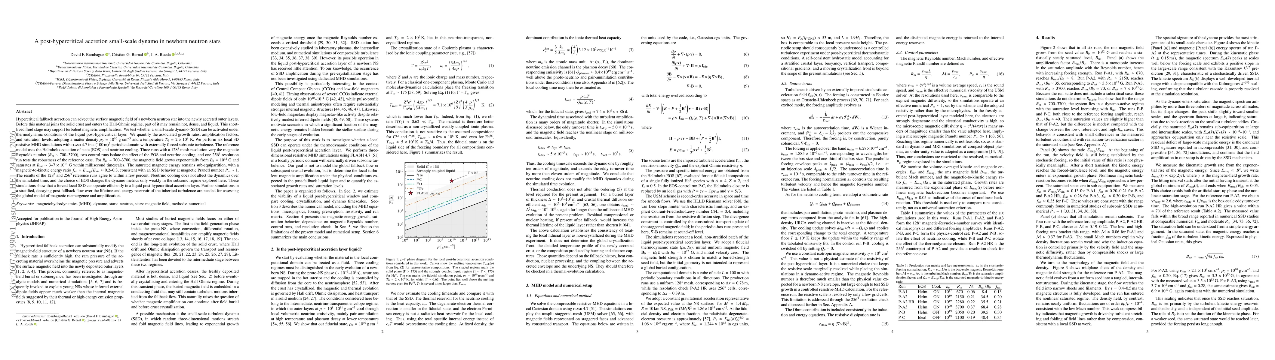 Thumbnail for A post-hypercritical accretion small-scale dynamo in newborn neutron stars