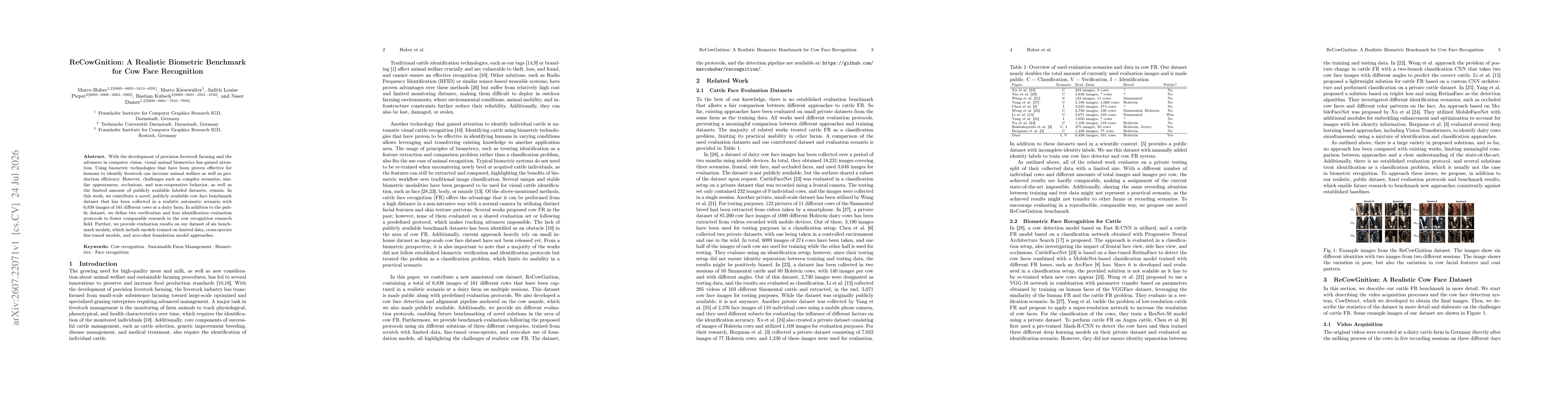 Thumbnail for ReCowGnition: A Realistic Biometric Benchmark for Cow Face Recognition