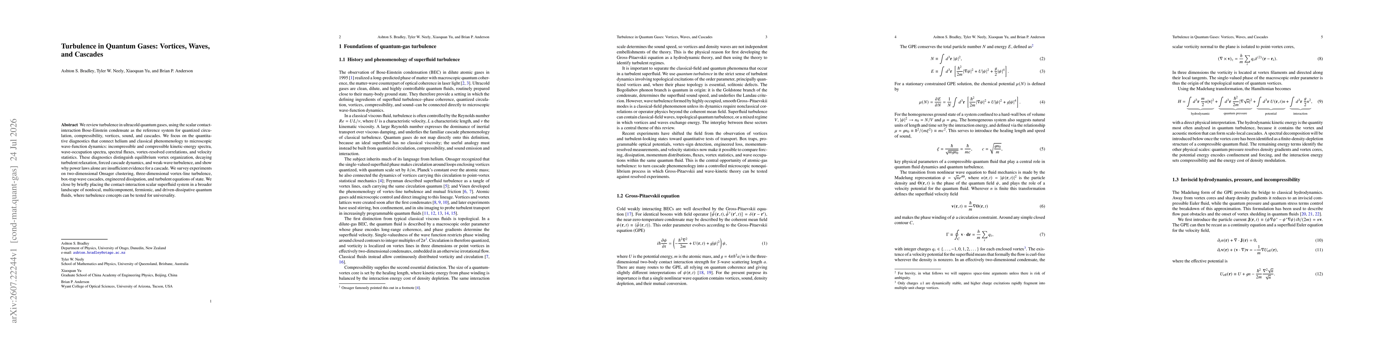 Thumbnail for Turbulence in Quantum Gases: Vortices, Waves, and Cascades