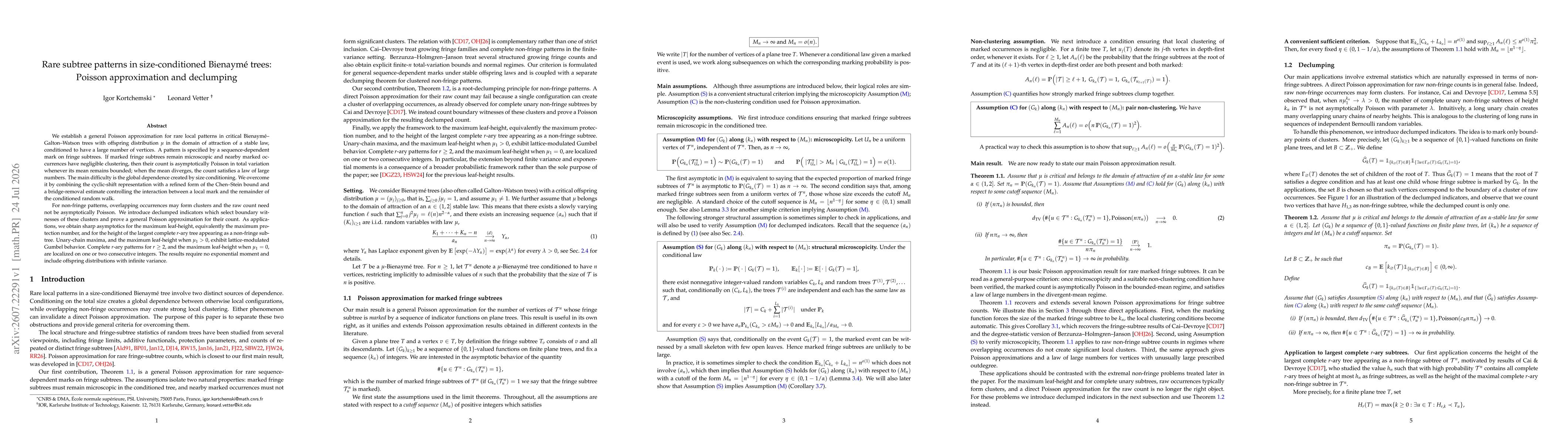 Thumbnail for Rare subtree patterns in size-conditioned Bienaymé trees: Poisson approximation and declumping