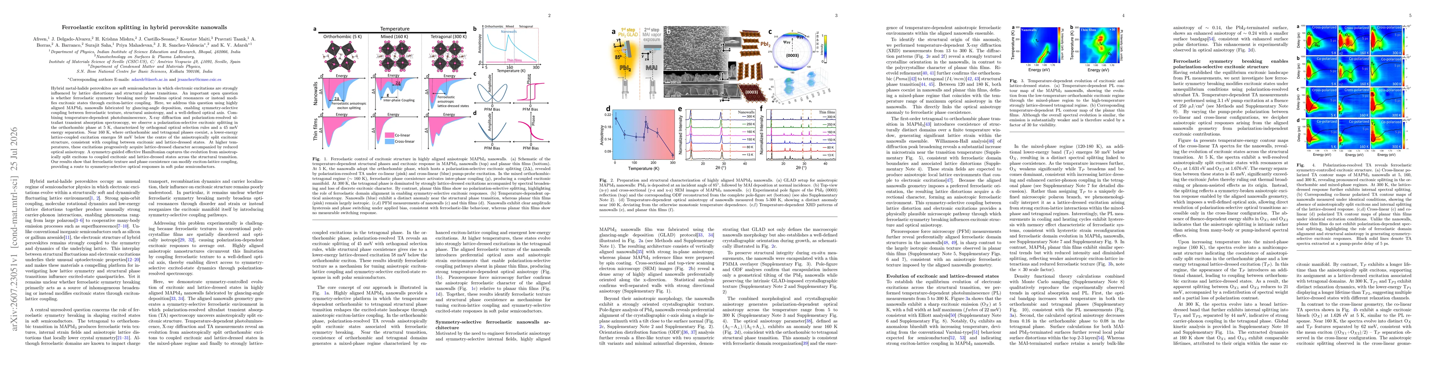 Thumbnail for Ferroelastic exciton splitting in hybrid perovskite nanowalls