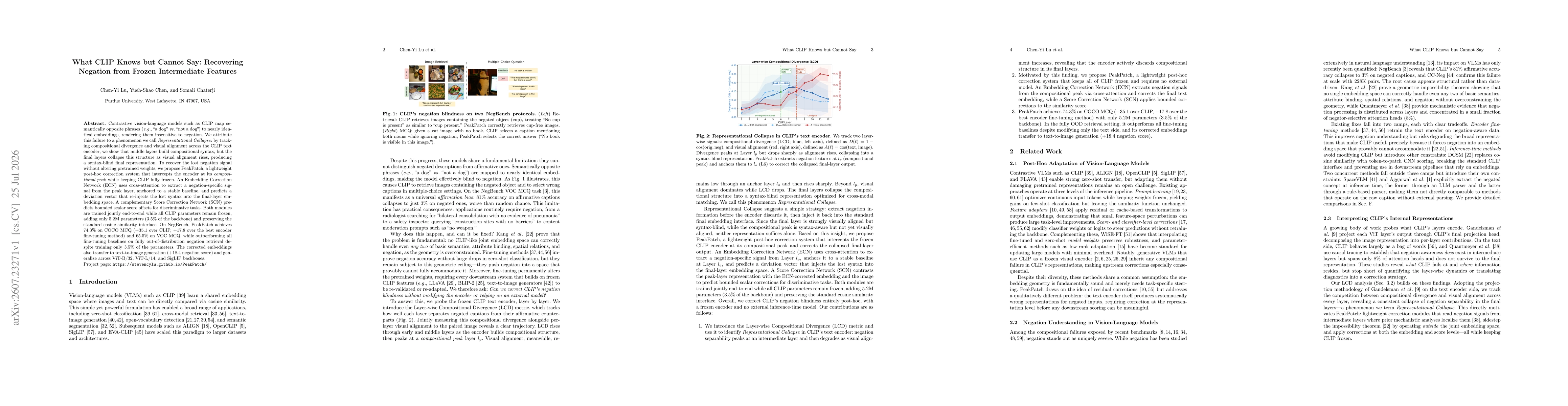 Thumbnail for What CLIP Knows but Cannot Say: Recovering Negation from Frozen Intermediate Features