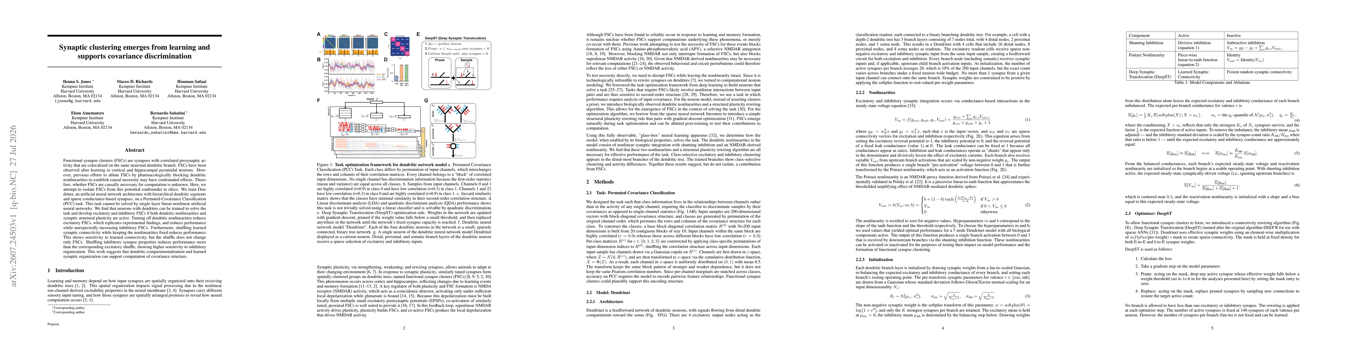 Thumbnail for Synaptic clustering emerges from learning and supports covariance discrimination