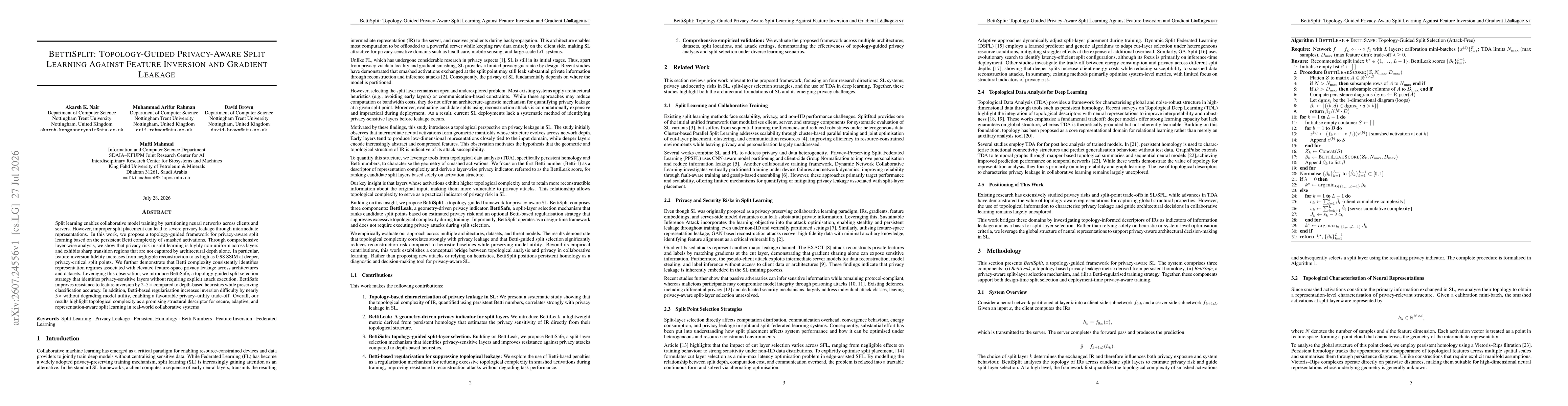 Thumbnail for BettiSplit: Topology-Guided Privacy-Aware Split Learning Against Feature Inversion and Gradient Leakage