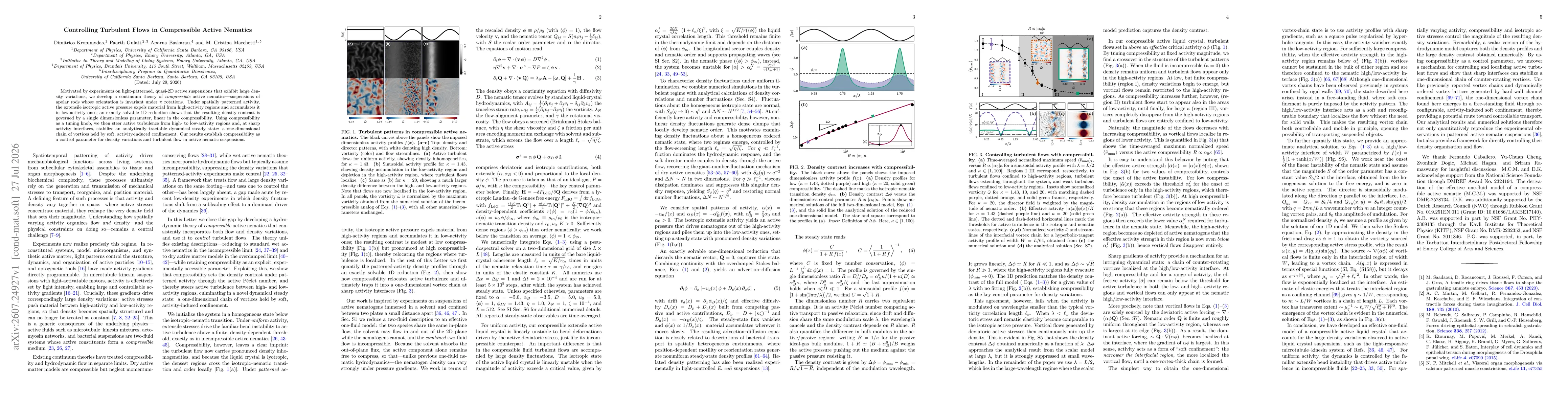 Thumbnail for Controlling Turbulent Flows in Compressible Active Nematics
