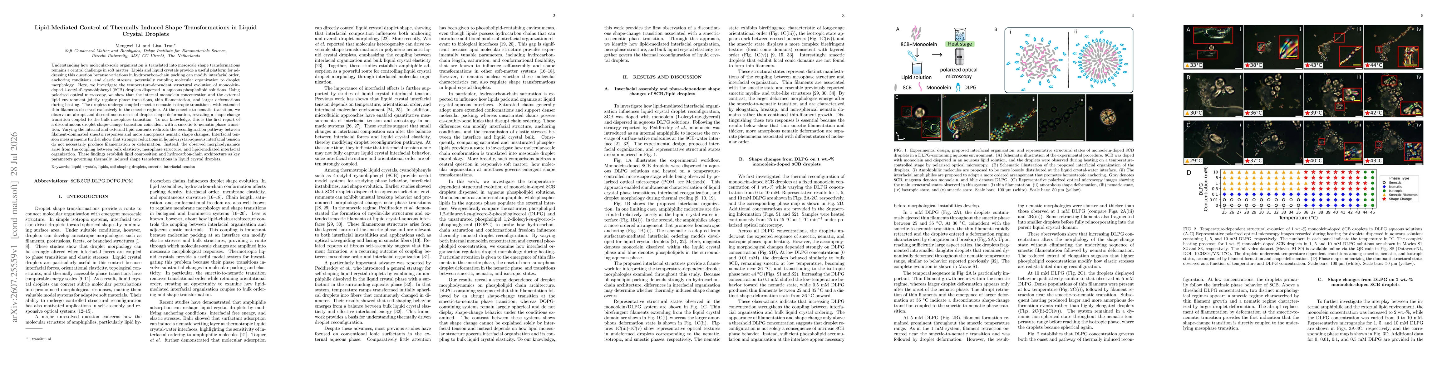 Thumbnail for Lipid-Mediated Control of Thermally Induced Shape Transformations in Liquid Crystal Droplets