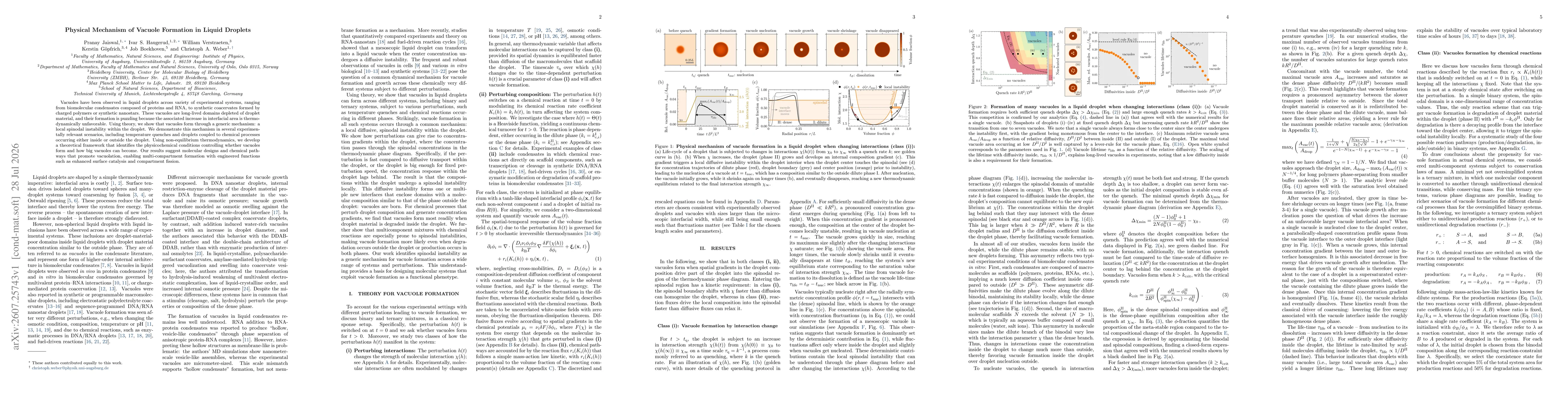 Thumbnail for Physical Mechanism of Vacuole Formation in Liquid Droplets