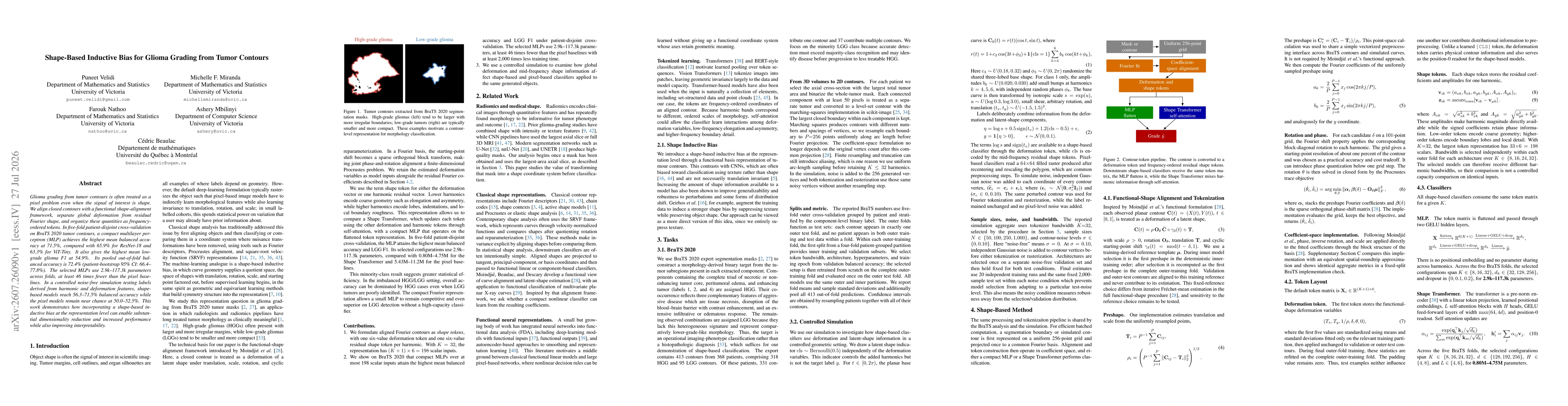 Thumbnail for Shape-Based Inductive Bias for Glioma Grading from Tumor Contours