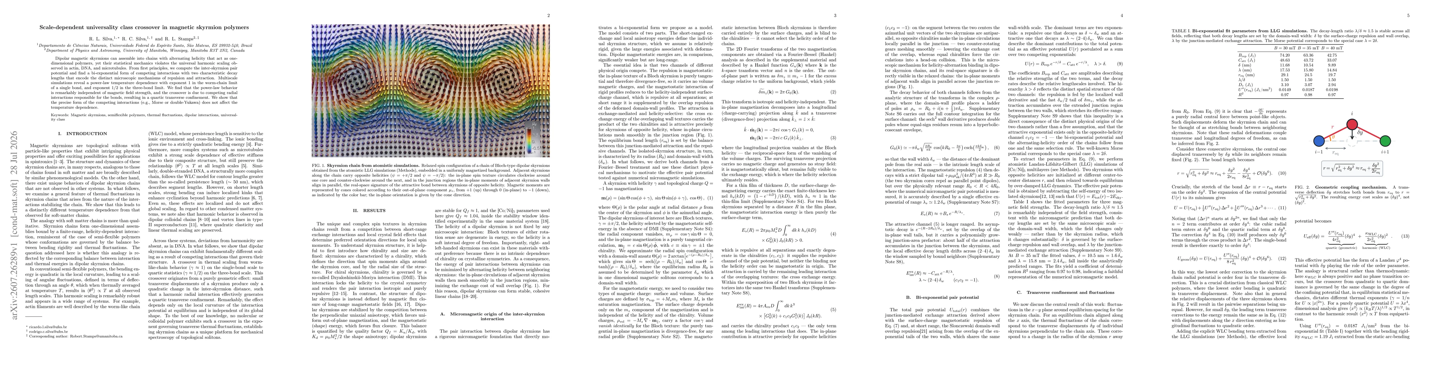 Thumbnail for Scale-dependent universality class crossover in magnetic skyrmion polymers