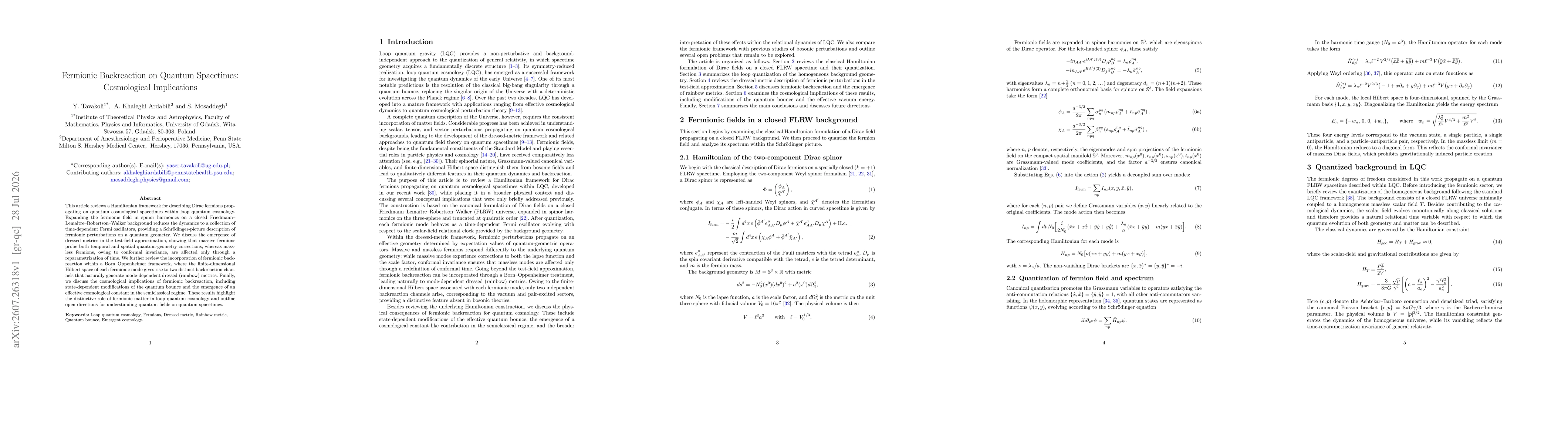 Thumbnail for Fermionic Backreaction on Quantum Spacetimes: Cosmological Implications