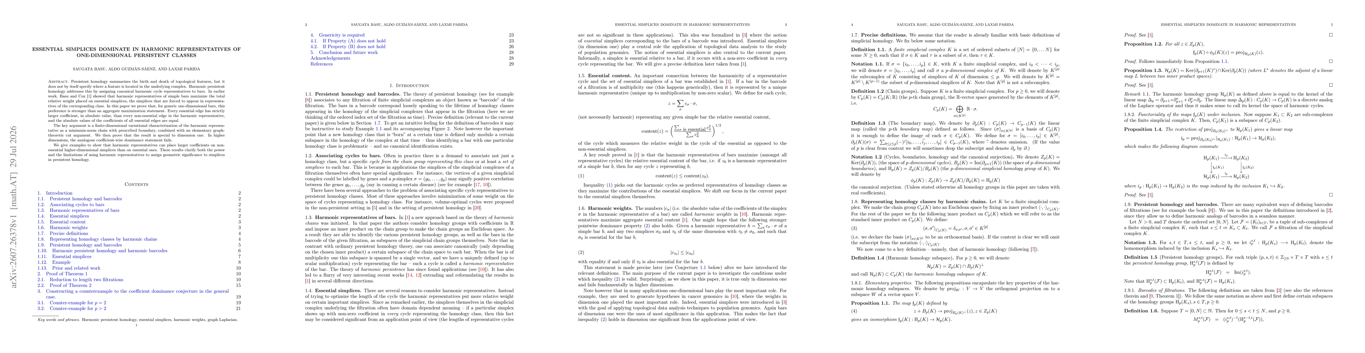 Thumbnail for Essential Simplices Dominate in Harmonic Representatives of One-Dimensional Persistent Classes