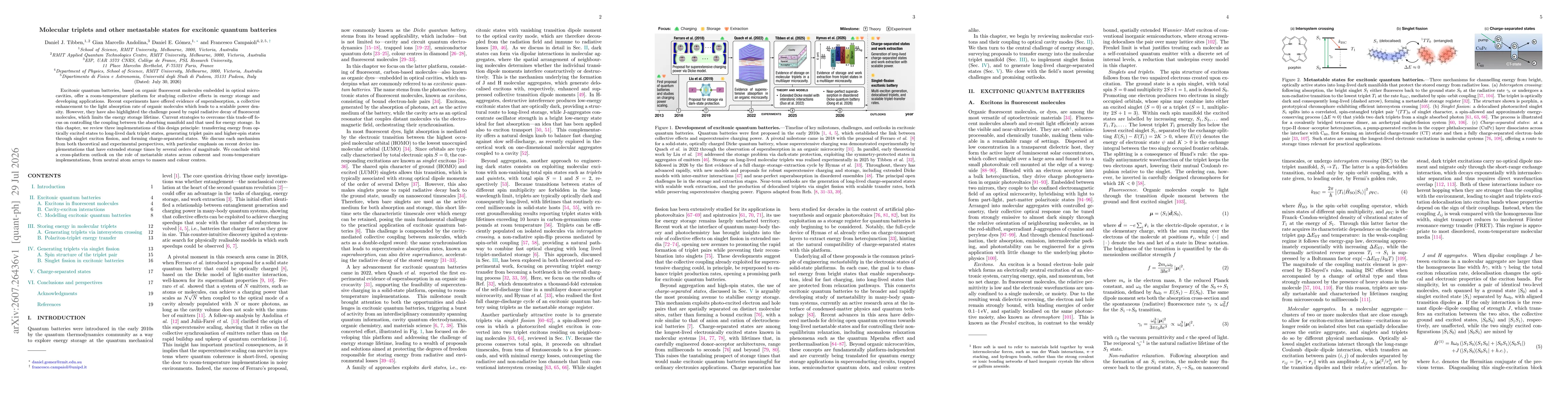 Thumbnail for Molecular triplets and other metastable states for excitonic quantum batteries