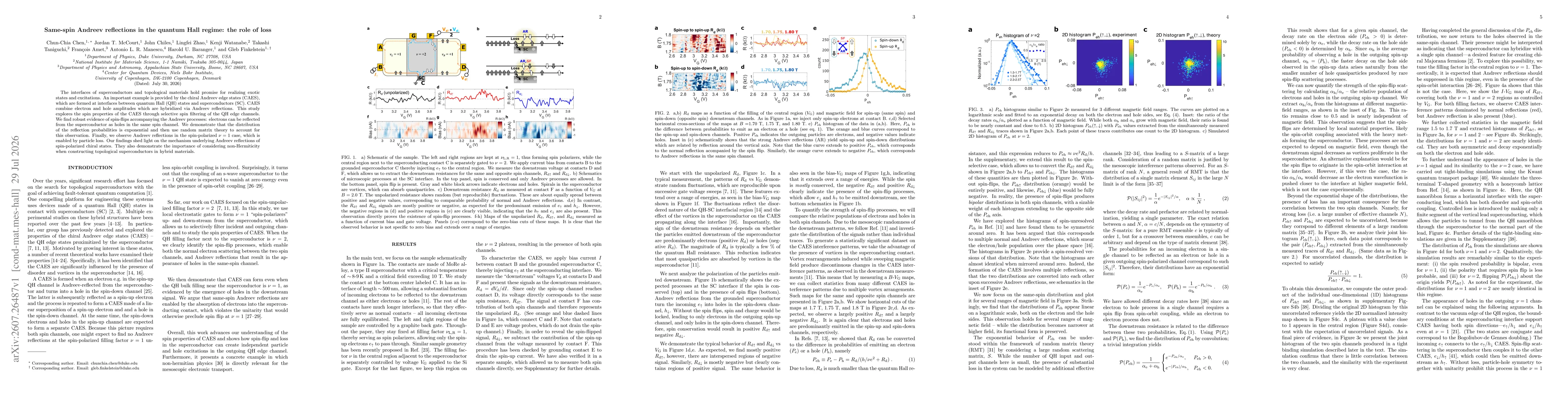 Thumbnail for Same-spin Andreev reflections in the quantum Hall regime: the role of loss