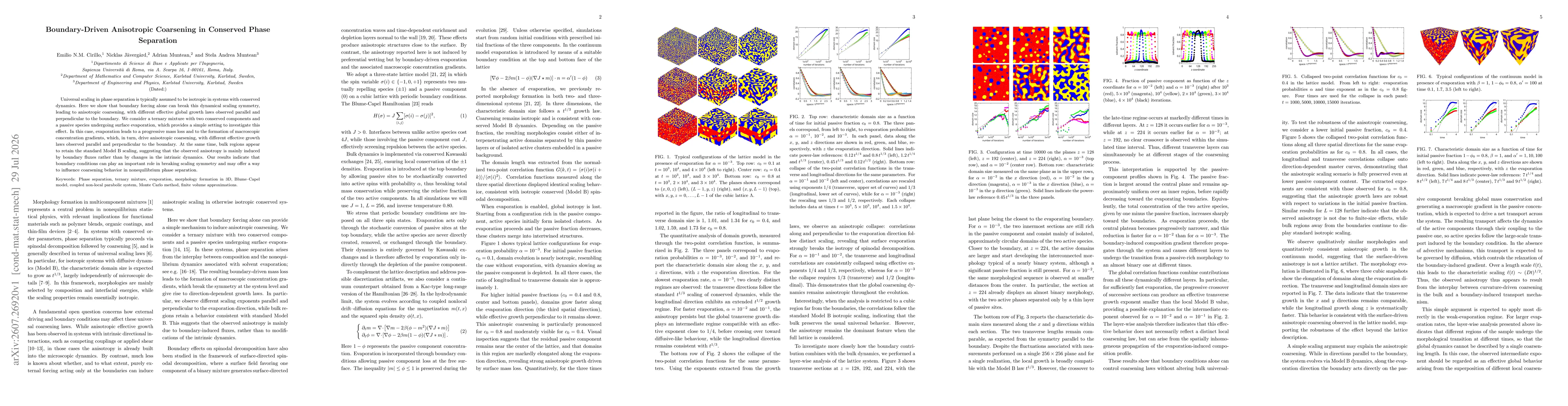 Thumbnail for Boundary-Driven Anisotropic Coarsening in Conserved Phase Separation